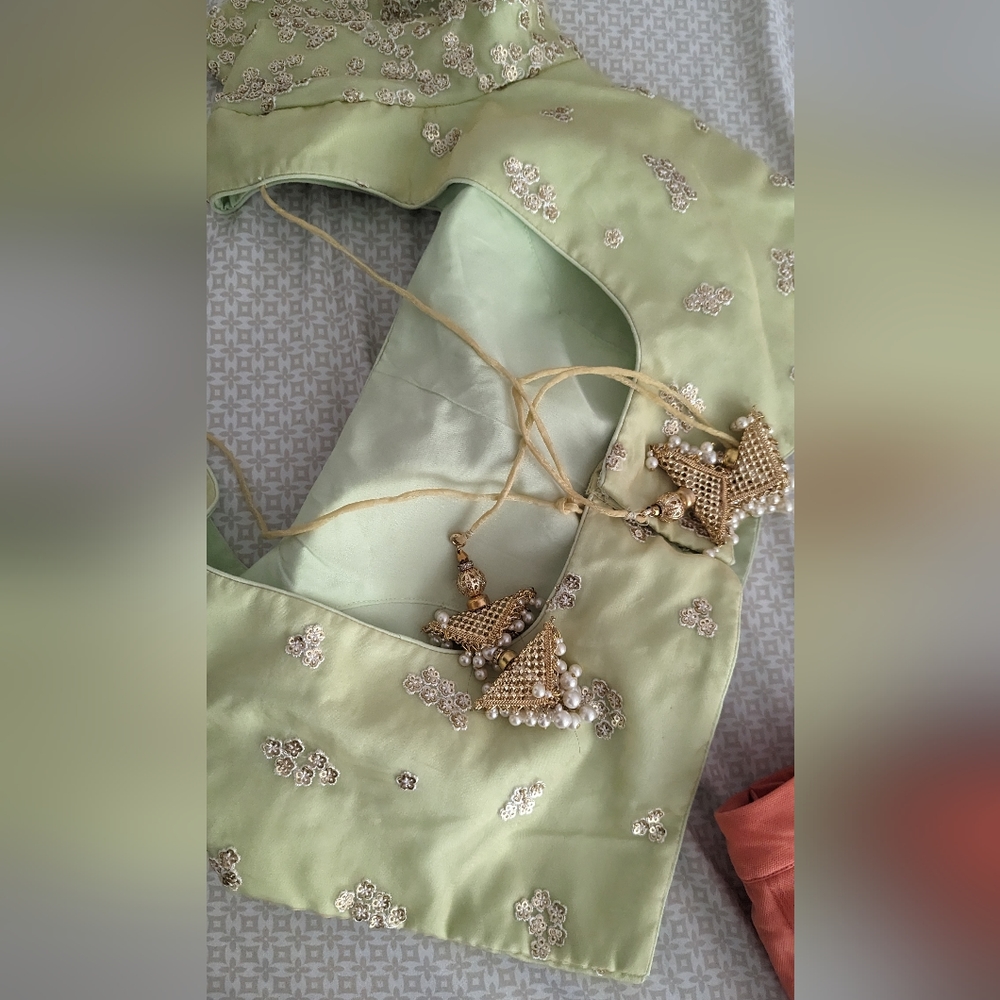 New Sushma Patel Lehenga Indian - Picture 4 of 8